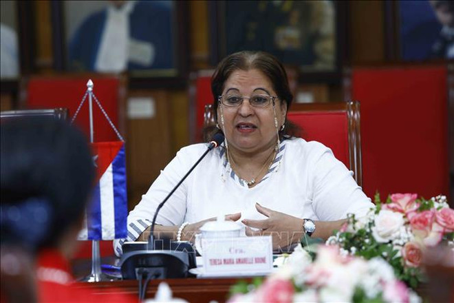 促进越南与古巴的团结友好关系 ảnh 2