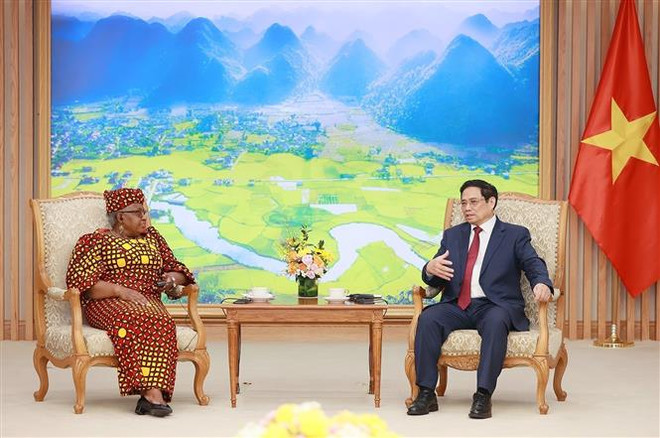 世贸组织总干事访问越南 有助于提升越南在国际贸易舞台上的地位 ảnh 2