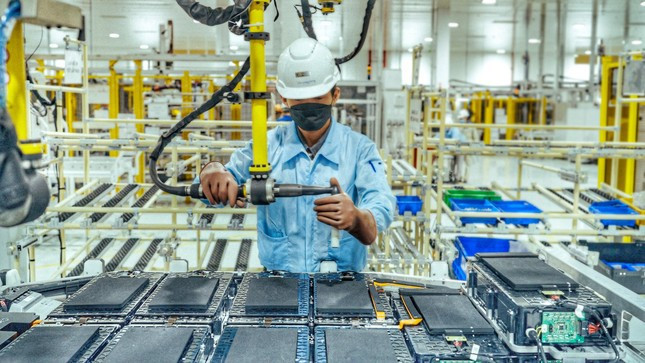 VinES继续获得澳大利亚的技术援助 ảnh 1