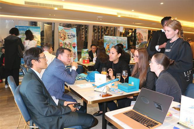 经济外交:推动越南旅游业走向世界 ảnh 1 经济外交:推动越南旅游业走向世界 ảnh 1