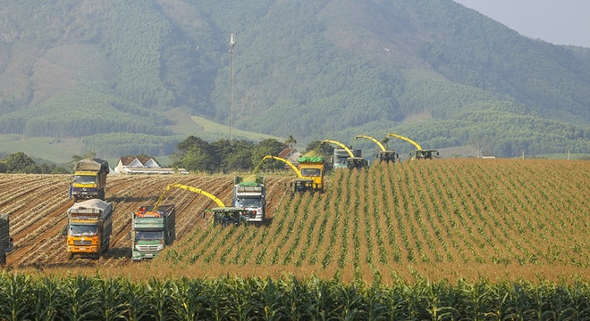 越南积极吸引对绿色增长的私人投资 ảnh 1 越南积极吸引对绿色增长的私人投资 ảnh 1