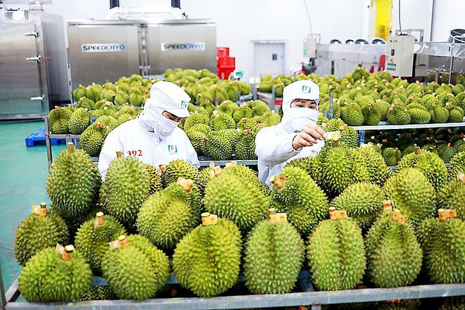 越南果蔬行业力争2023年出口额达40亿美元 ảnh 2  越南果蔬行业力争2023年出口额达40亿美元 ảnh 2