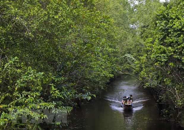越南后江省着力开发龙玉黄自然保护区的潜力 ảnh 1 越南后江省着力开发龙玉黄自然保护区的潜力 ảnh 1
