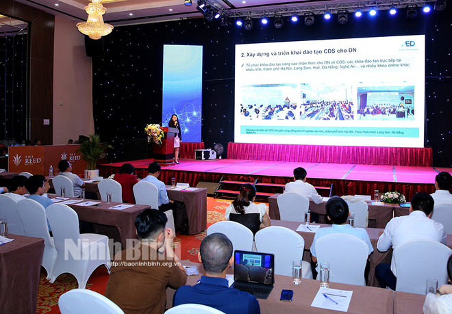 宁平省推动中小型企业数字化转型 ảnh 1