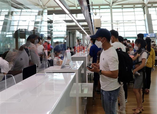 250名在韩越南公民已安全回国 ảnh 1 250名在韩越南公民已安全回国 ảnh 1