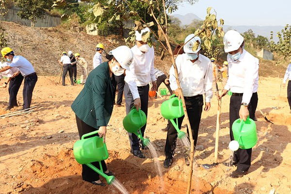 越南力争2022年植树造林同比增长20%以上的目标 ảnh 1