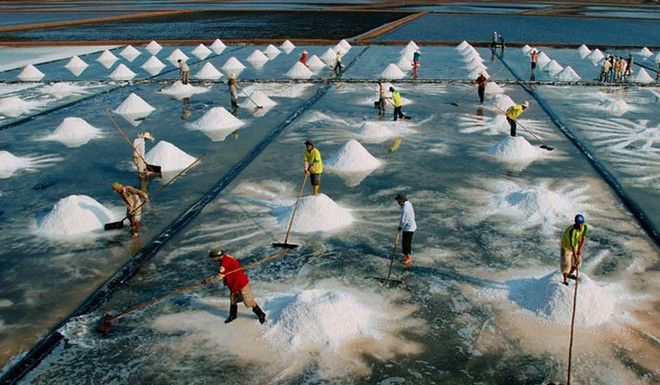 薄辽省集体经济带动贫困户脱贫致富 ảnh 1 薄辽省集体经济带动贫困户脱贫致富 ảnh 1