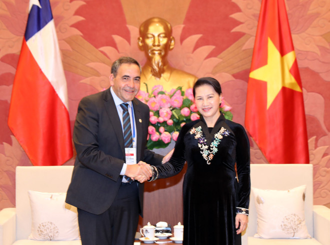 越南国会主席阮氏金银会见智利众议院议长 ảnh 1 越南国会主席阮氏金银会见智利众议院议长 ảnh 1