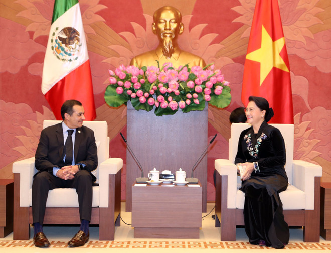 越南国会主席阮氏金银会见墨西哥参议长埃内斯托 ảnh 1
