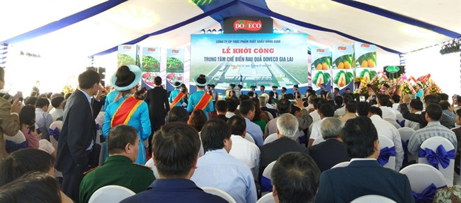 西原地区最大蔬果加工厂破土兴建 ảnh 2