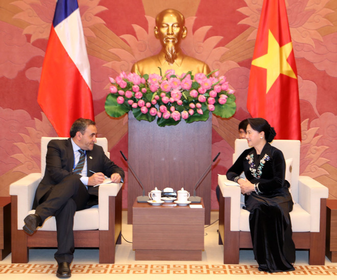 越南国会主席阮氏金银会见智利众议院议长 ảnh 2 越南国会主席阮氏金银会见智利众议院议长 ảnh 2