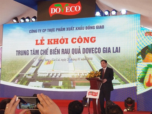 西原地区最大蔬果加工厂破土兴建 ảnh 1