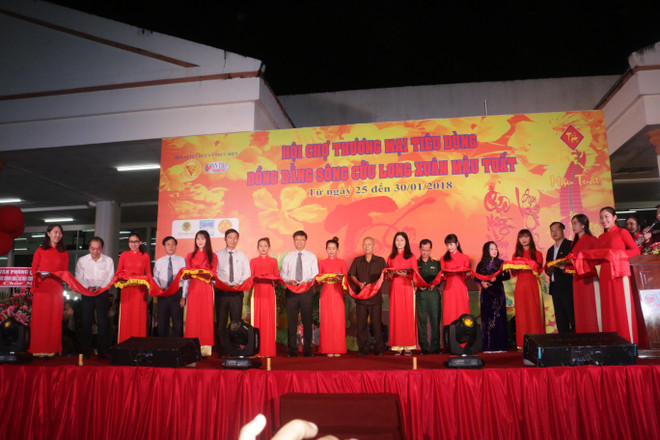 九龙江三角洲春节展销会吸引国内外200个单位参展 ảnh 1