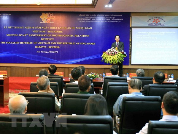 越南新加坡建交45周年纪念活动在海防市举行 ảnh 1 越南新加坡建交45周年纪念活动在海防市举行 ảnh 1