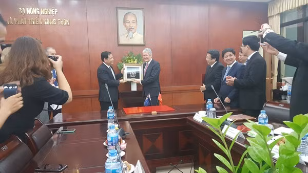 越南与新西兰加强农业合作 努力提升农产品价值 ảnh 2