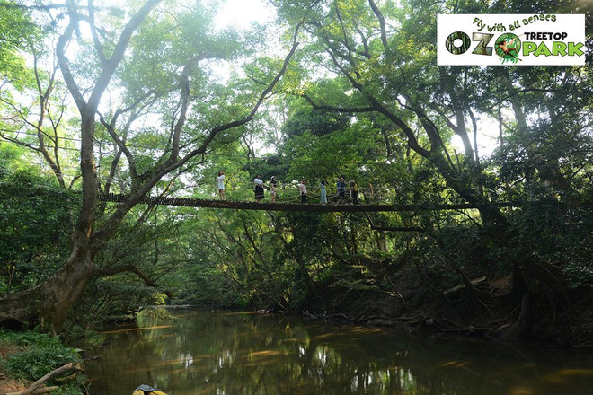 广平省推出特色旅游产品 ảnh 3