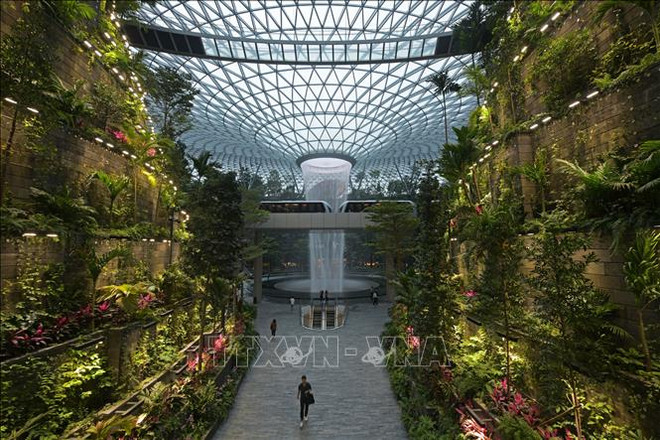 新加坡规模最大的室内花园--星耀樟宜机场投运 ảnh 2