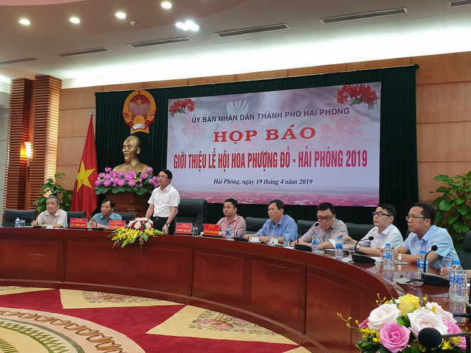 海防市红色凤凰花节将举行60多项活动 ảnh 1 海防市红色凤凰花节将举行60多项活动 ảnh 1