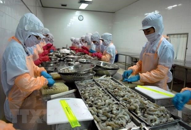 为越南虾类产品出口敞开大门 ảnh 1 为越南虾类产品出口敞开大门 ảnh 1