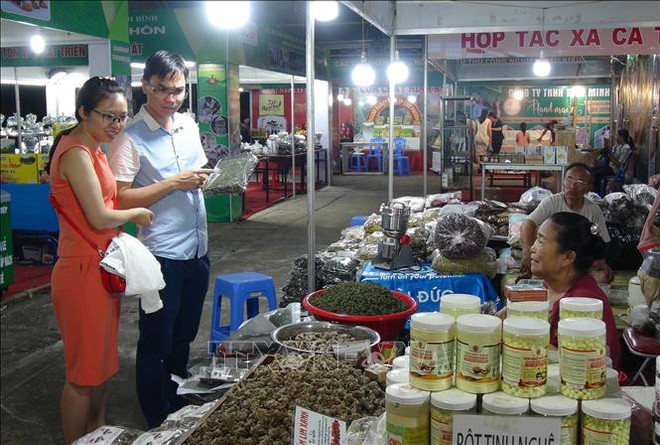 宁平省举行2019年红河平原地区“一乡一品”国际博览会 ảnh 1