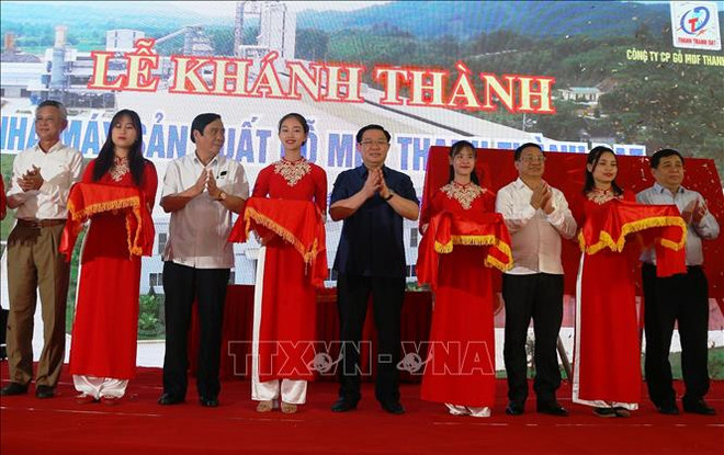 中部地区最大的中密度纤维板生产厂落成投运 ảnh 1 中部地区最大的中密度纤维板生产厂落成投运 ảnh 1