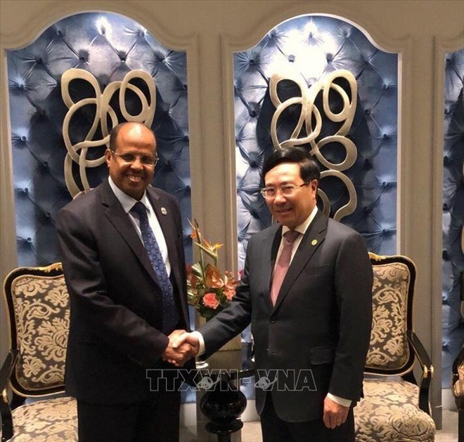 越南希望促进与非洲国家的合作 ảnh 2 越南希望促进与非洲国家的合作 ảnh 2