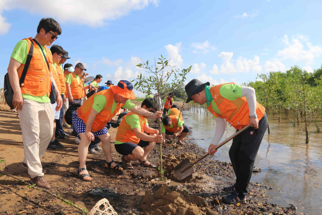 茶荣省：携手应对环境问题 ảnh 2