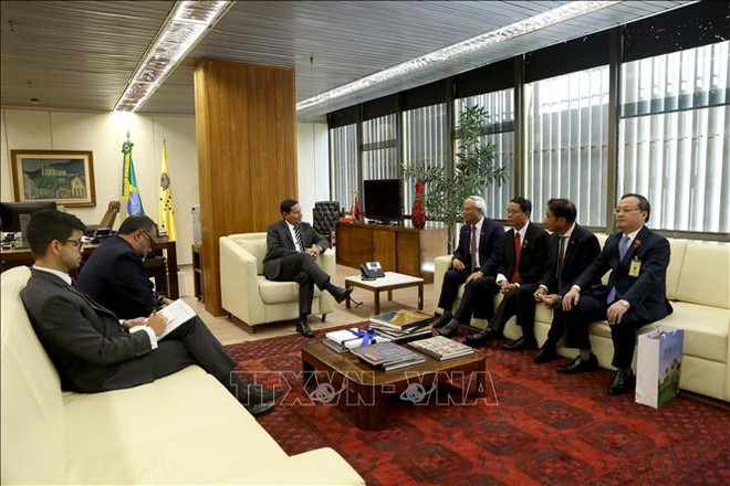 巴西副总统汉密尔顿·穆拉奥会见越南国会副主席汪周刘 ảnh 1 巴西副总统汉密尔顿·穆拉奥会见越南国会副主席汪周刘 ảnh 1