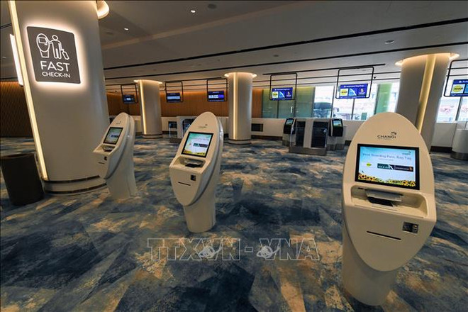 新加坡规模最大的室内花园--星耀樟宜机场投运 ảnh 1