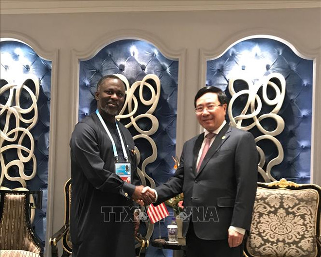 越南希望促进与非洲国家的合作 ảnh 1 越南希望促进与非洲国家的合作 ảnh 1