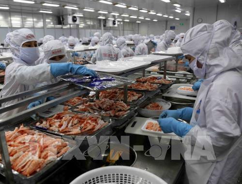 越南水产企业努力挖掘中国市场的潜力 ảnh 1 越南水产企业努力挖掘中国市场的潜力 ảnh 1