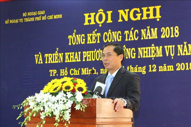 2018年胡志明市对外工作取得许多良好成效 ảnh 1
