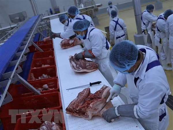 河南肉类制品加工厂建设项目竣工仪式在河南举行 ảnh 1