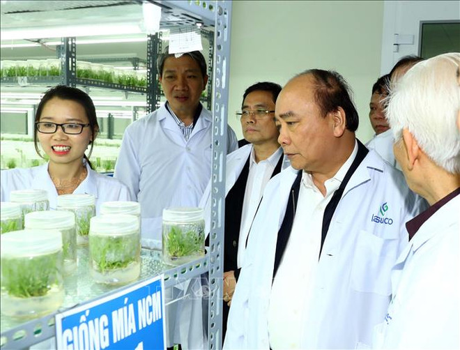 阮春福前往清化省蓝京国家级特殊历史遗迹区上香和开展参观考察活动 ảnh 2