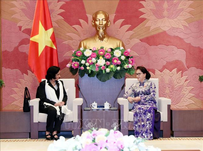 国会主席阮氏金银会见古巴总检察长奥赫达 ảnh 1