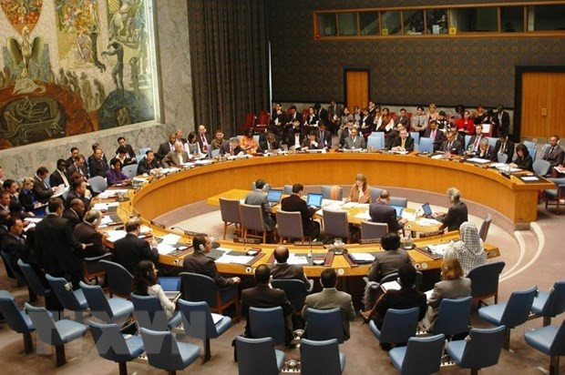  越南与联合国安理会：美国资深记者希望越南再次当选联合国安理会非常任理事国 ảnh 1