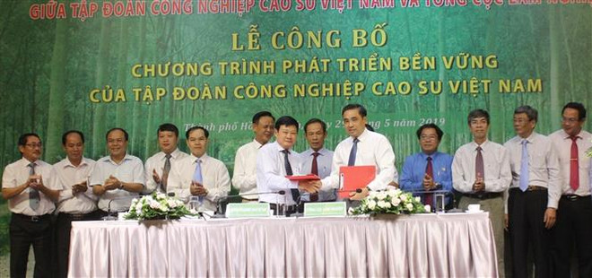 越南橡胶工业集团公布2019-2024年可持续发展计划 ảnh 2 越南橡胶工业集团公布2019-2024年可持续发展计划 ảnh 2
