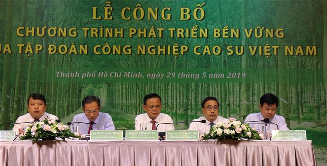 越南橡胶工业集团公布2019-2024年可持续发展计划 ảnh 1 越南橡胶工业集团公布2019-2024年可持续发展计划 ảnh 1