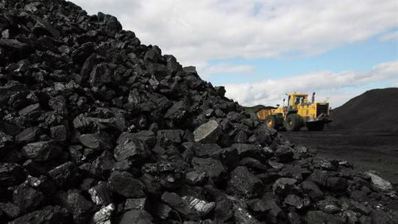 越南在2025-2035年期间煤炭进口量或将大幅增加 ảnh 2 越南在2025-2035年期间煤炭进口量或将大幅增加 ảnh 2