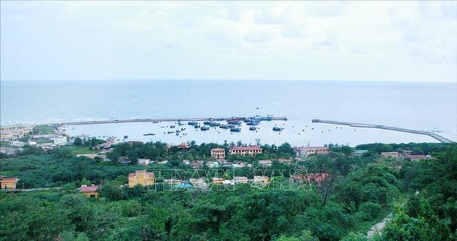 海防市至白龙尾岛往返客运和货运船舶将于2020年7月内投入运营 ảnh 1