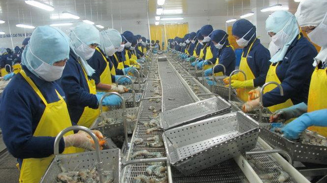 朔庄省出口额同比增长近26% ảnh 1