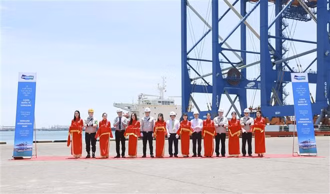 Doosan Vina向Gemalink国际港口出口2台超长超重型起重机 ảnh 1