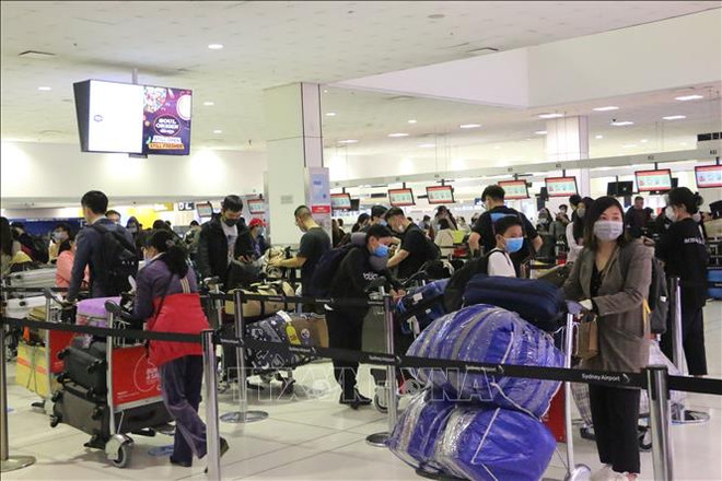 越南迎接350名旅外公民回国 ảnh 1