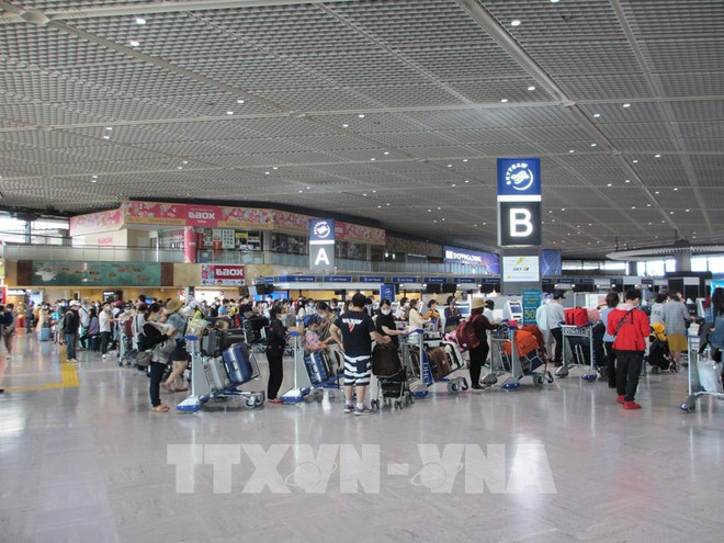 将在日本越南公民接回国 ảnh 1 将在日本越南公民接回国 ảnh 1