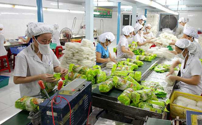越南蔬果对“荷刻”市场的出口增长良好 ảnh 1 越南蔬果对“荷刻”市场的出口增长良好 ảnh 1