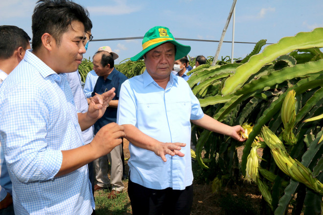 越南农业与农村发展部部长：为农业发展开拓新空间 ảnh 1