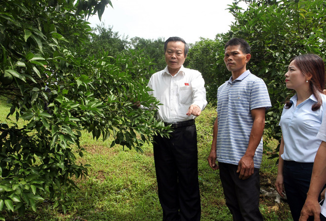 国会副主席冯国显莅临北件省调研 ảnh 2 国会副主席冯国显莅临北件省调研 ảnh 2