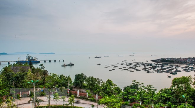 埃及媒体对越埃合作关系前景予以高度评价 ảnh 1 埃及媒体对越埃合作关系前景予以高度评价 ảnh 1