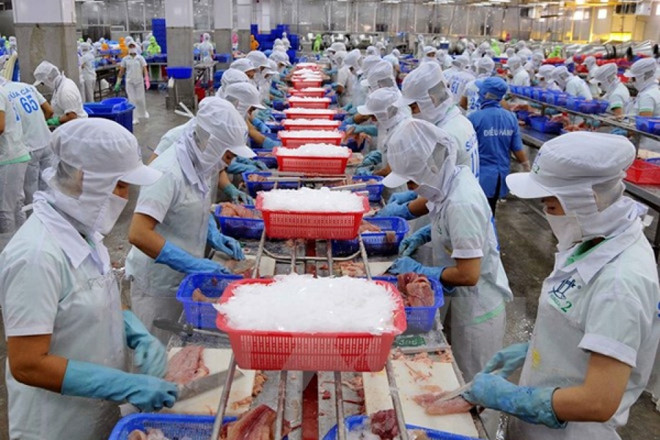 2018年越南水产品出口额难以突破100亿美元大关 ảnh 1 2018年越南水产品出口额难以突破100亿美元大关 ảnh 1