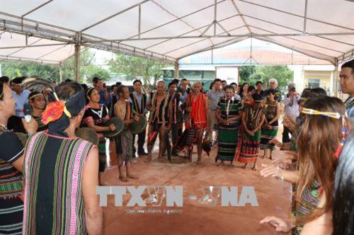 墨侬族的牛油果采收节 ảnh 1 墨侬族的牛油果采收节 ảnh 1